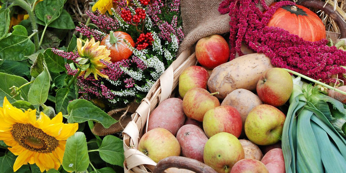 ’s`kleene Erntedankfest‘: Traditionsmarkt in abgespeckter Version und als ‚to go‘-Variante. (Foto: BLB-Tourismus GmbH) 's`kleene Erntedankfest': Traditionsmarkt in abgespeckter Version und als 'to go'-Variante. (Foto: BLB-Tourismus GmbH)