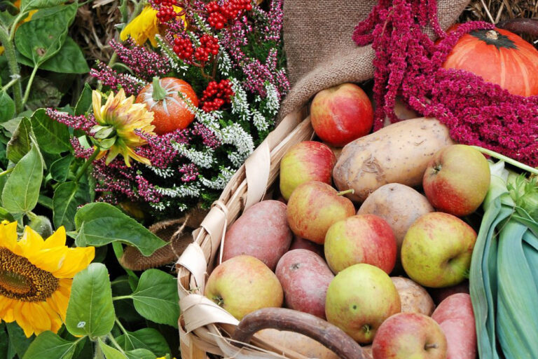's`kleene Erntedankfest': Traditionsmarkt in abgespeckter Version und als 'to go'-Variante. (Foto: BLB-Tourismus GmbH)