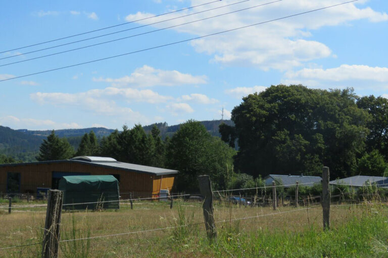 Mit dem Geld aus Düsseldorf ist der Bau einer Lagerhalle aus Käferholz durch den Jugendförderverein Bad Berleburg in greifbare Nähe gerückt. (SZ-Foto: Martin Völkel)