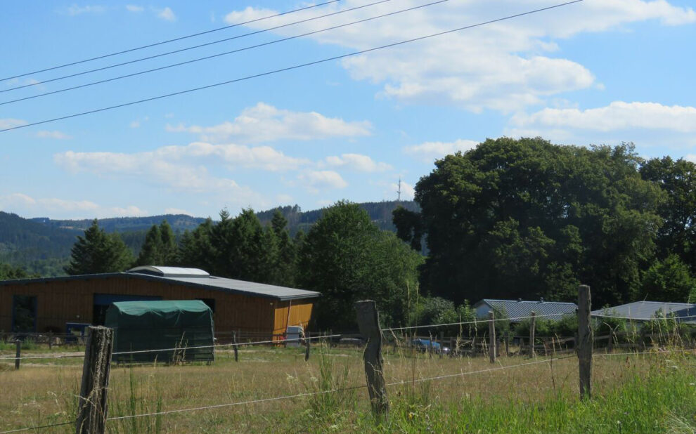 Mit dem Geld aus Düsseldorf ist der Bau einer Lagerhalle aus Käferholz durch den Jugendförderverein Bad Berleburg in greifbare Nähe gerückt. (SZ-Foto: Martin Völkel)